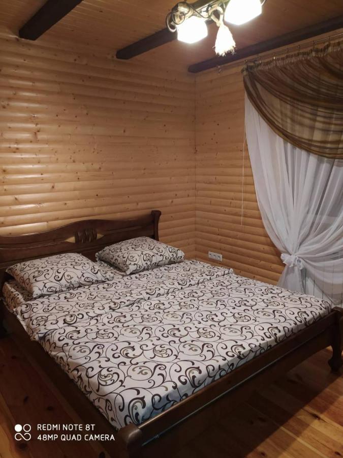 Карпатські Зорі Villa Pilipets Exterior photo