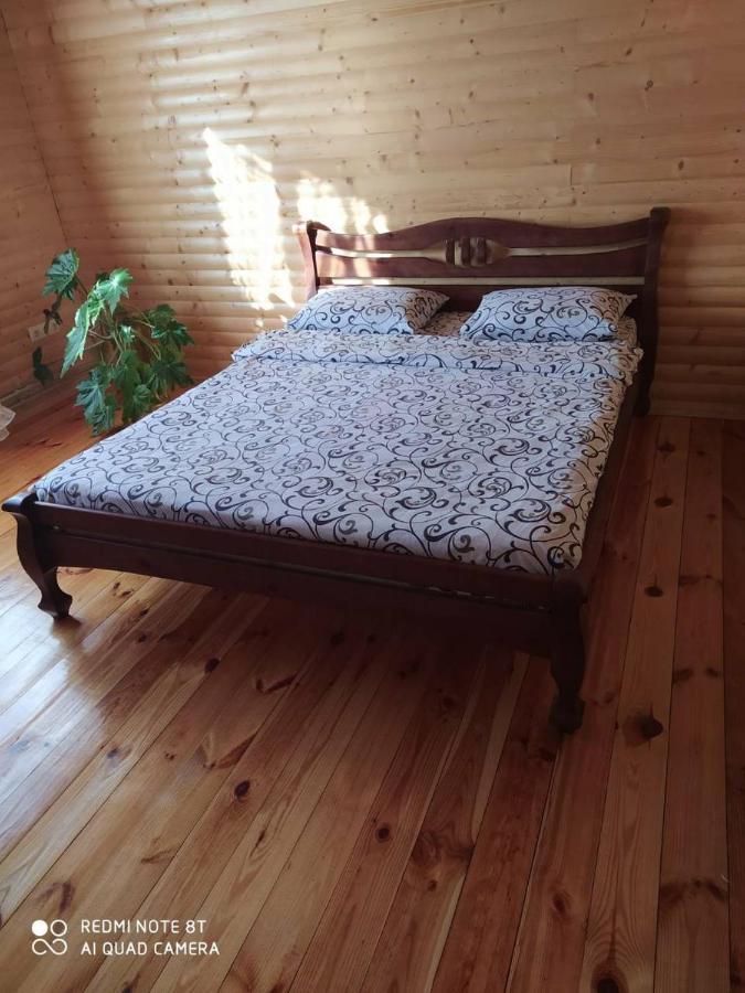 Карпатські Зорі Villa Pilipets Exterior photo